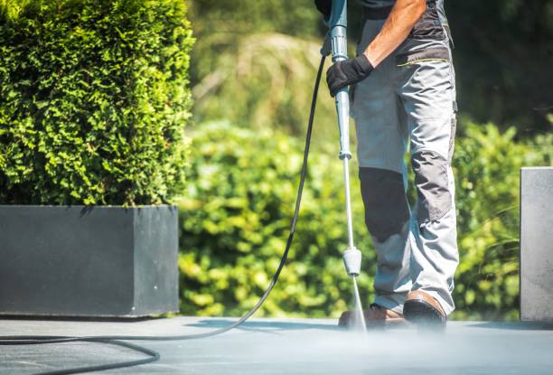 Best Animal Enclosure Cleaning  in West Carthage, NY