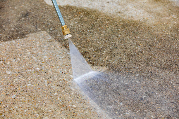 Best Building Exterior Washing  in West Carthage, NY