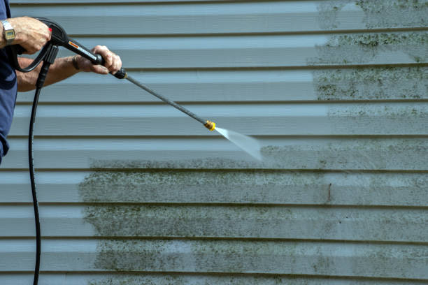 Best Building Exterior Washing  in West Carthage, NY